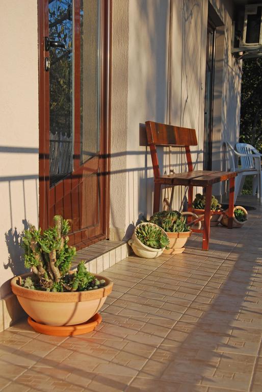 Apartments Iva Tivat Rom bilde